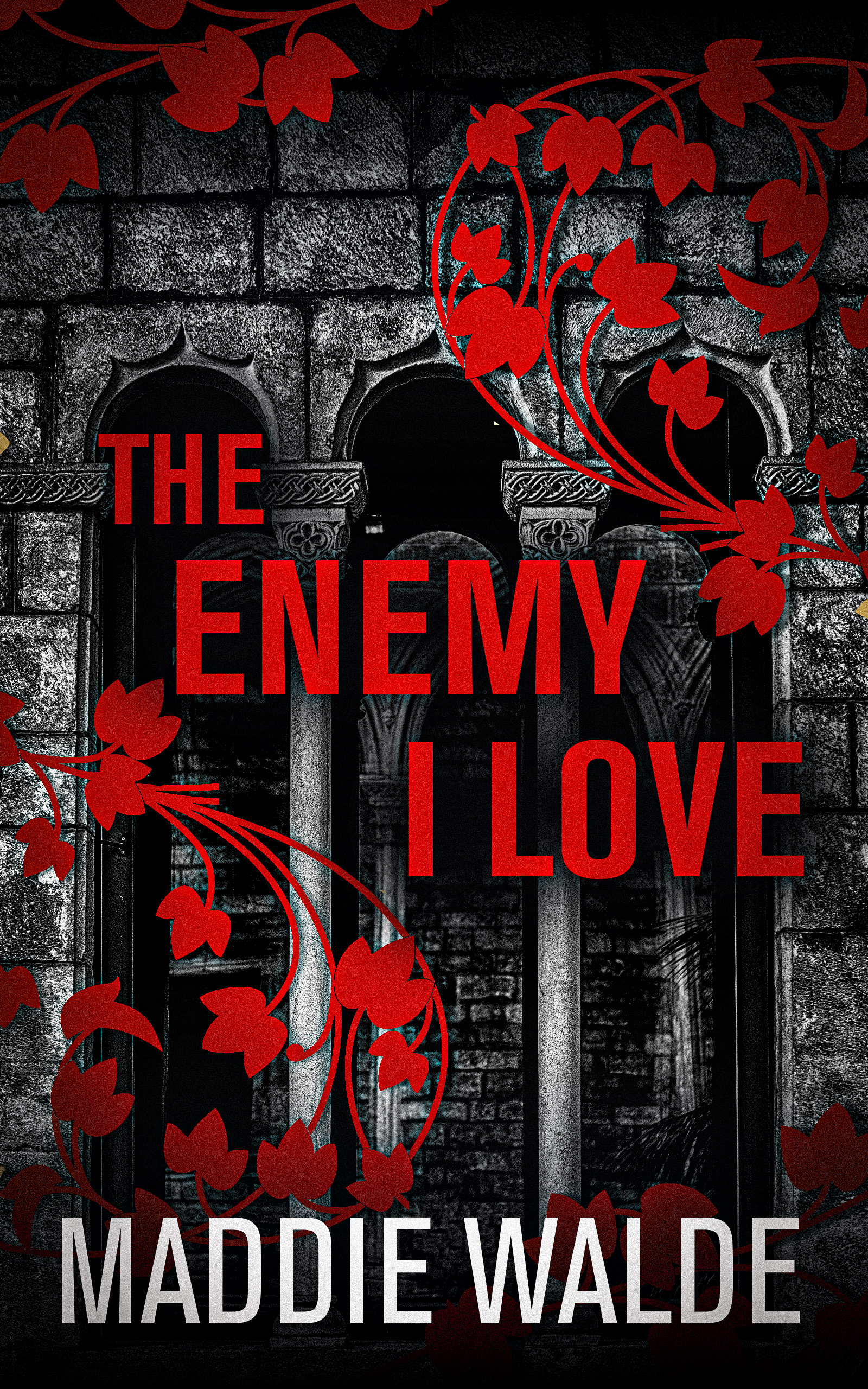 Maddie Walde: The Enemy I Love - Serial